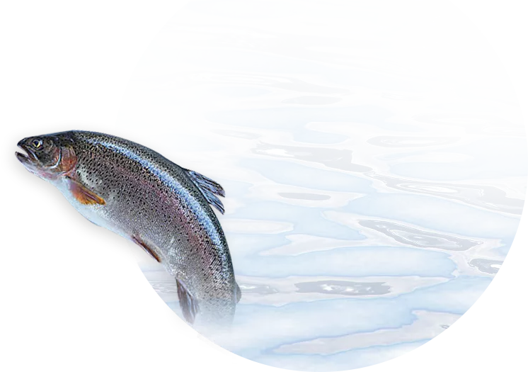 GA�ƽ�ס�(�й�����)�ٷ���վ